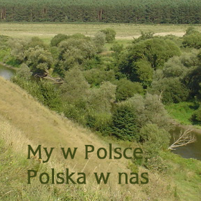 My w Polsce, Polska w nas